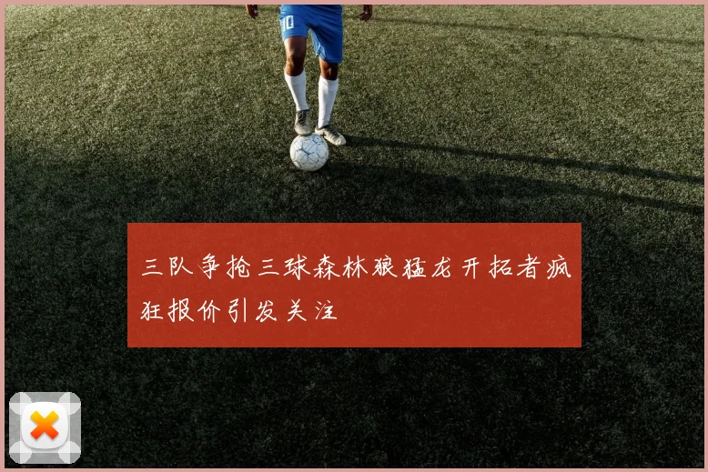 三队争抢三球森林狼猛龙开拓者疯狂报价引发关注